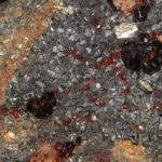Grenat hessonite et cristaux de clinochlore, Val d'Ala, Italie.