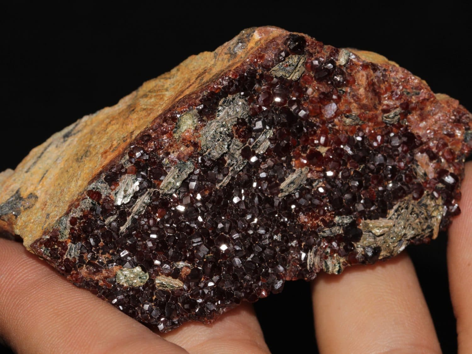 Grenat type hessonite et clinochlore, Val d'Ala, Italie.