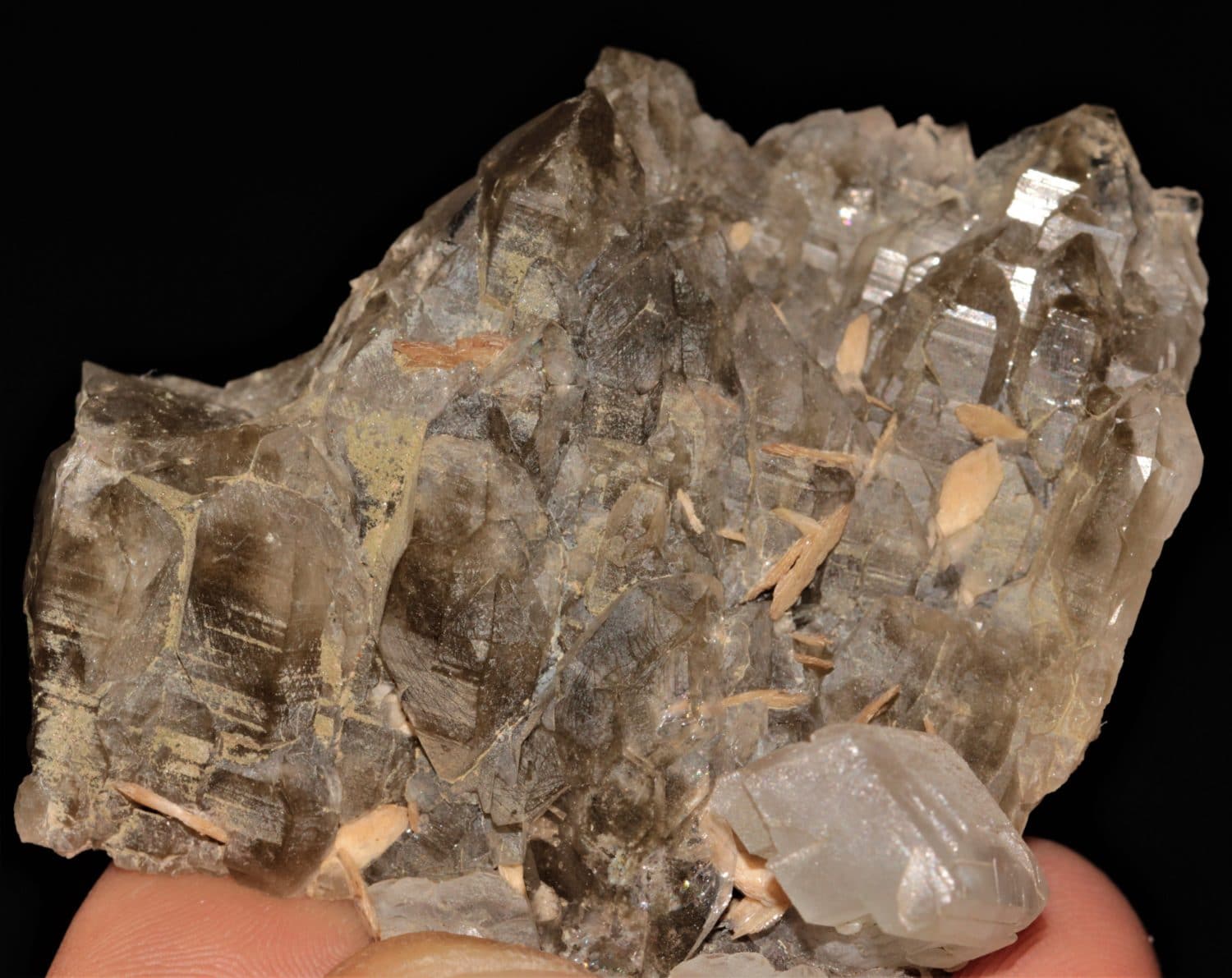 Quartz, calcite et titanite (sphène), gorges de Durnand, Valais, Suisse.