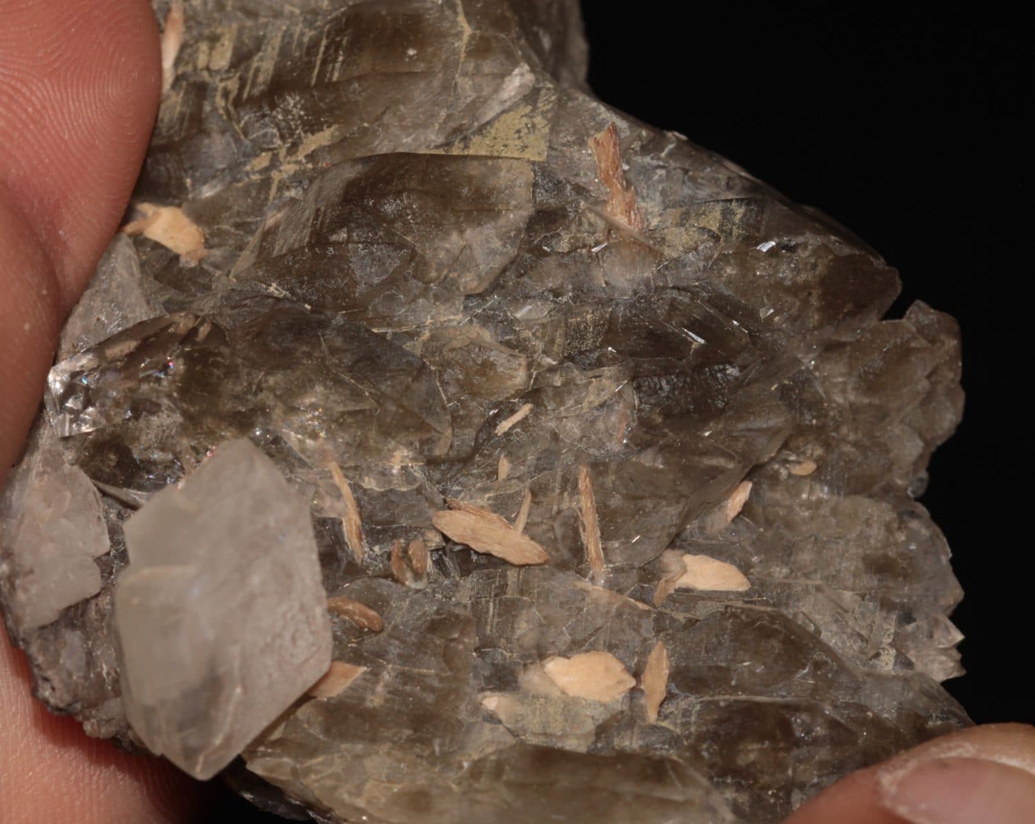 Quartz, calcite et titanite (sphène), gorges de Durnand, Valais, Suisse.