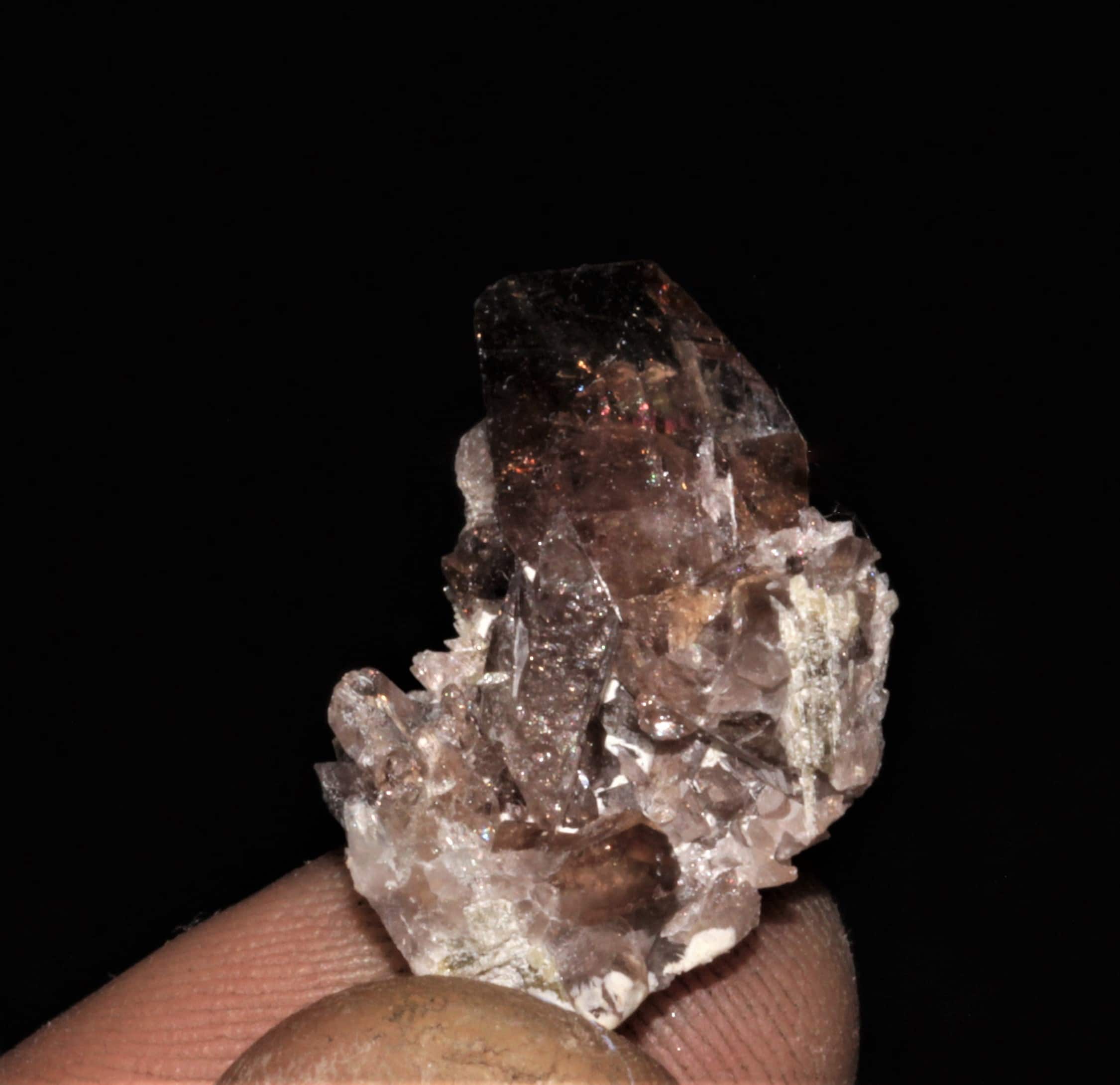 Cristal d'axinite et épidote, Rochers d'Armentier, Oisans, Isère.