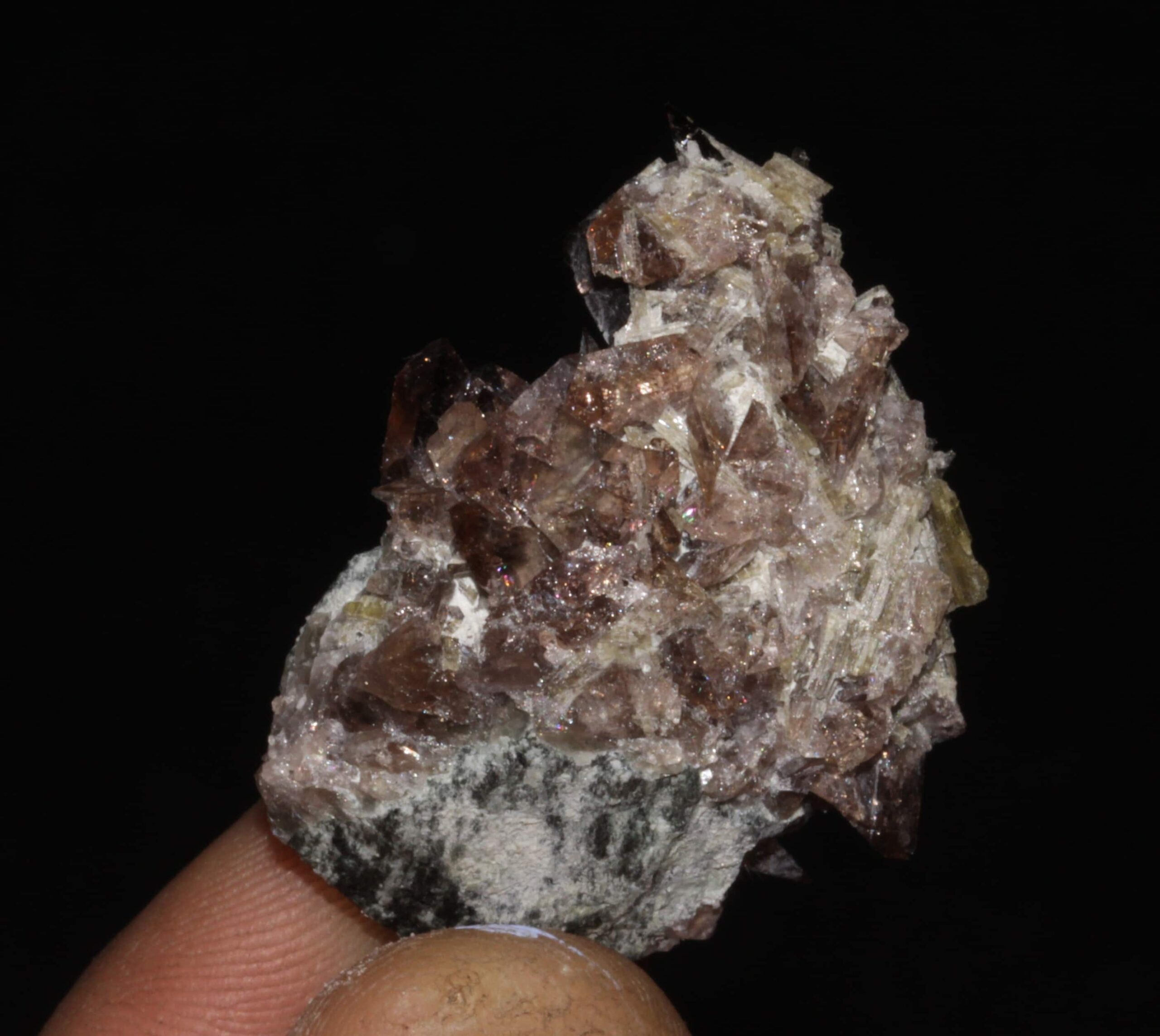 Axinite et épidote, Rochers d'Armentier, Oisans, Isère.