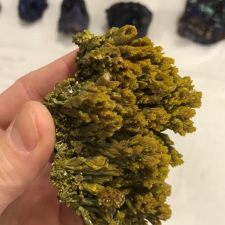 Pyromorphite de la mine des Farges en Corrèze (France).