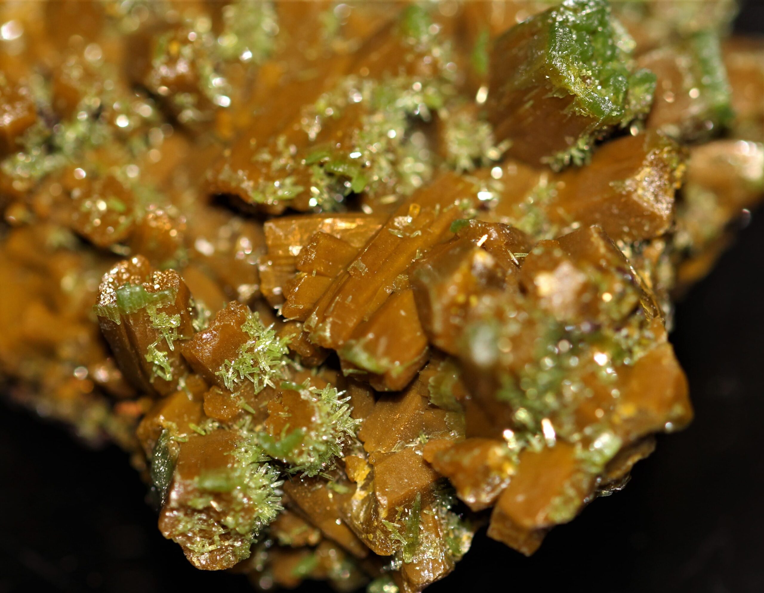 Pyromorphite, mine des Farges, Corrèze, France.