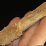 Stibiconite après stibine avec valentinite, Zacatecas, Mexique.