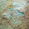 Chalcophyllite, mine de La Garonne, Le Pradet, Var.