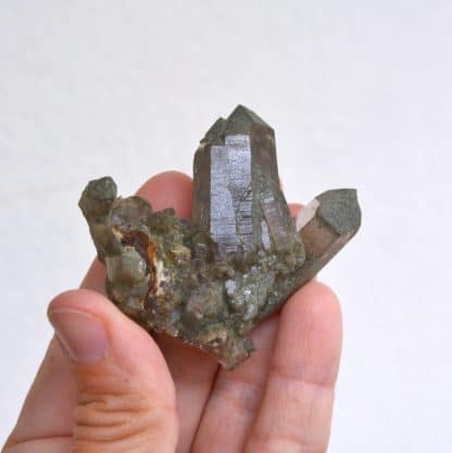 Quartz à chlorite brune, La Lauzière, Savoie.