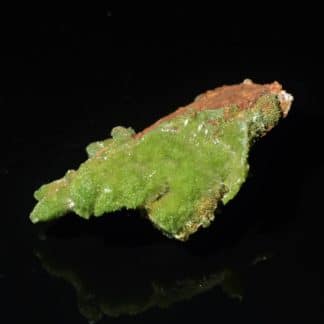 Pyromorphite, Saint-Salvy, Tarn