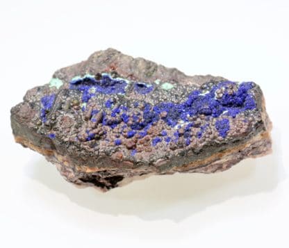 Azurite sur goethite, Le Moulinal, Paulinet, Tarn.