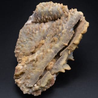 Baryte saupoudrée de fluorite, Les Porres, Var, France.