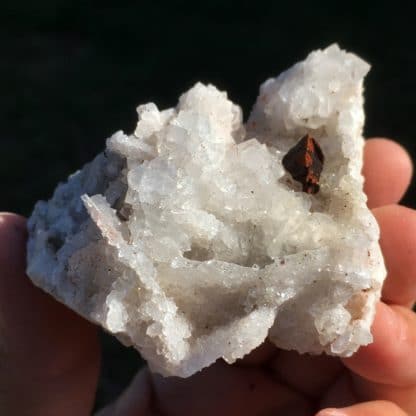 Chalcopyrite sur quartz, Montroc, Tarn.