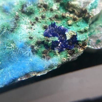 Cyanotrichite et parnauite, Mine Cap Garonne, Le Pradet, Var.