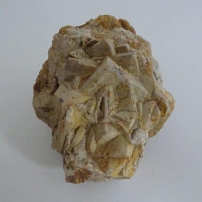 Pseudomorphose de calcite en quartz, Beaucouzé, Maine-et-Loire.