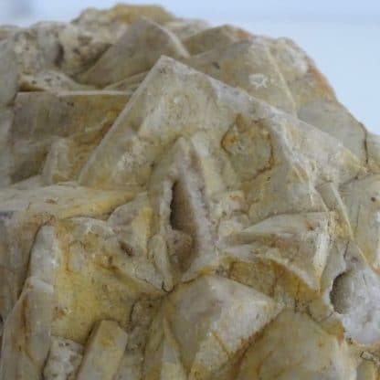 Pseudomorphose de calcite en quartz, Beaucouzé, Maine-et-Loire.