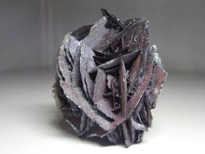 Rose de fer d'hématite en provenance du Saphoz, Haute-Saône, Vosges.