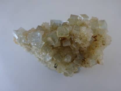 Fluorine et chalcopyrite sur quartz, Le Burg, Tarn.