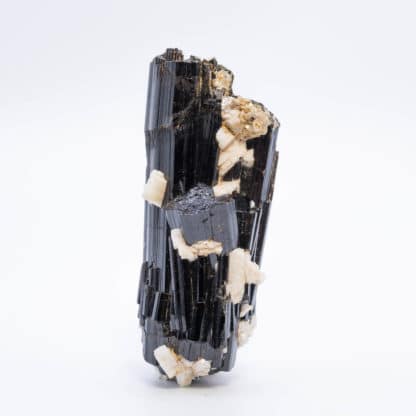 Tourmaline (schorl) et Albite, La Salvetat-sur-Agout, Hérault.