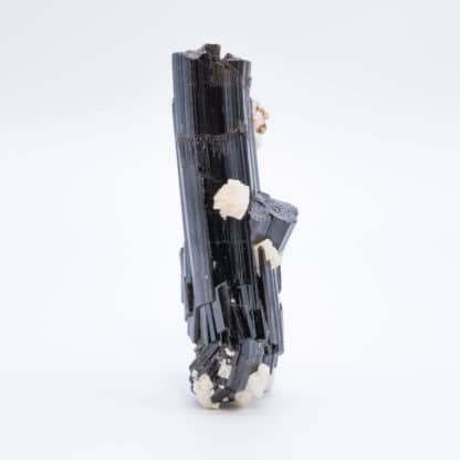 Tourmaline (schorl) et Albite, La Salvetat-sur-Agout, Hérault.