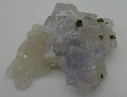 Quartz, Fluorine, Chalcopyrite de Montroc, Tarn.