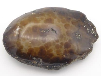 Agate Sardoine (polie), Idar-Oberstein, Birkenfeld, Allemagne.