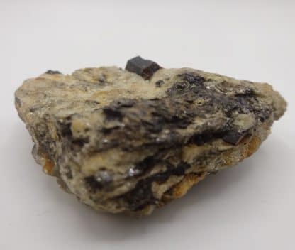 Staurolite et Disthène sur Paragonite, Pizzo Forno, Tessin, Suisse.