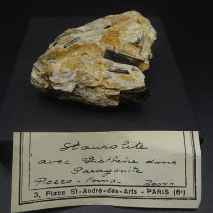 Staurolite et Disthène sur Paragonite, Pizzo Forno, Tessin, Suisse.