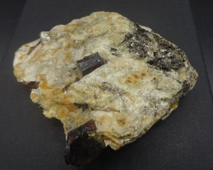 Staurolite et Disthène sur Paragonite, Pizzo Forno, Tessin, Suisse.