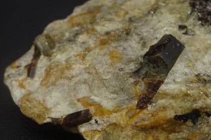 Staurolite et Disthène sur Paragonite, Pizzo Forno, Tessin, Suisse.