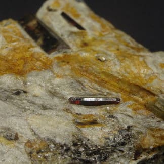 Staurolite et Disthène sur Paragonite, Pizzo Forno, Tessin, Suisse.