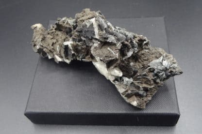 Pyrolusite, Roßbach Mine, Allemagne.