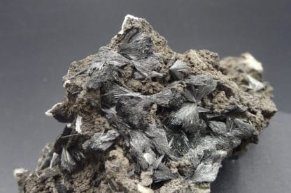 Pyrolusite, Roßbach Mine, Allemagne.