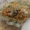 Vésuvianite (idocrase), Vésuve, Italie.