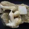 Stilbite, Calcite, Berufjord, Djúpavogshreppur, Eastern Region, Islande.