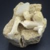 Stilbite, Calcite, Berufjord, Djúpavogshreppur, Eastern Region, Islande.