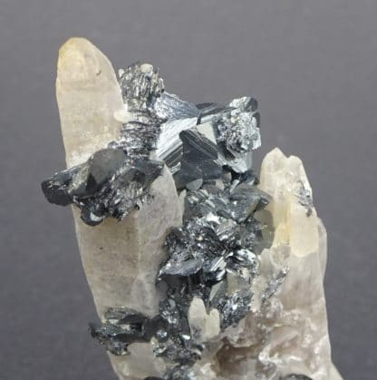 Hématite sur Quartz, Rio Marina, Ile d'Elbe, Italie.