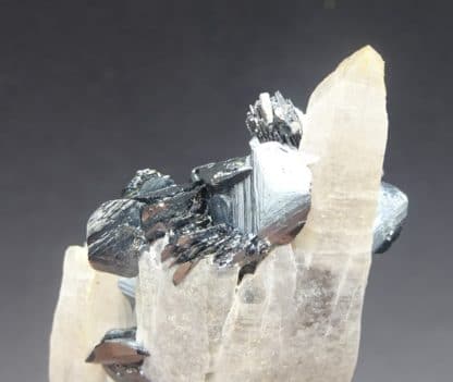 Hématite sur Quartz, Rio Marina, Ile d'Elbe, Italie.