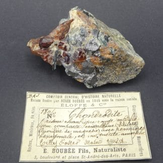 Chondrodite, magnétite et clinochlore, Tilly Foster Mine, New York, USA.