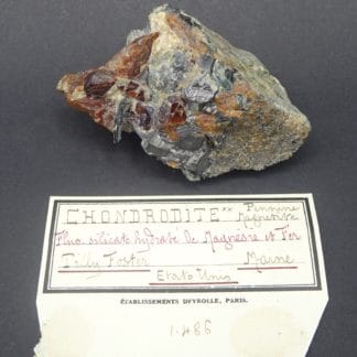 Chondrodite, magnétite et clinochlore, Tilly Foster Mine, New York, USA.
