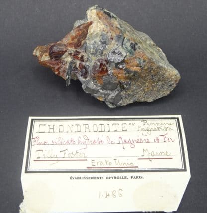 Chondrodite, magnétite et clinochlore, Tilly Foster Mine, New York, USA.