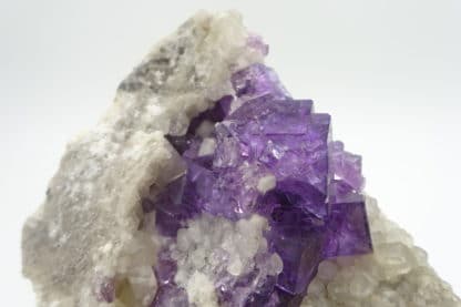 Fluorite violette sur calcite, Lavaux-Sainte-Anne, Namur, Belgique.