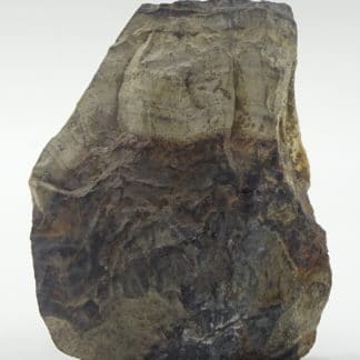 Schalenblende, mine de Schmalgraf, Lontzen, Belgique.