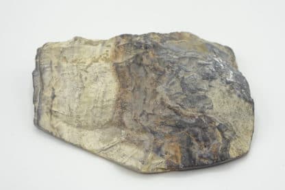 Schalenblende, mine de Schmalgraf, Lontzen, Belgique.