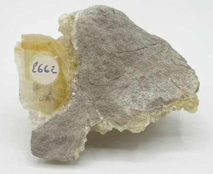 Calcite, Landelies, Montigny-le-Tilleul, Hainaut, Belgique.