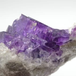 Fluorite violette sur calcite, Lavaux-Sainte-Anne, Namur, Belgique.