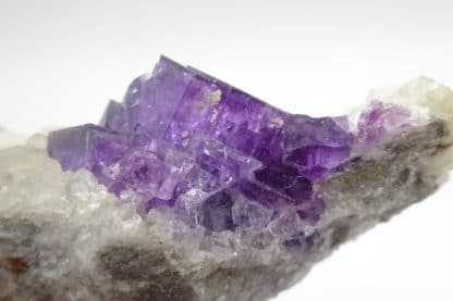 Fluorite violette sur calcite, Lavaux-Sainte-Anne, Namur, Belgique.