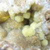Smithsonite sur smithsonite, Altenberg, La Calamine (Kelmis), Belgique.