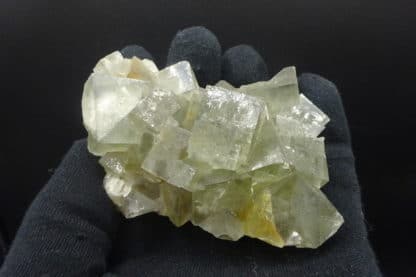 Fluorite cubique verte, mine de L’Avellan, Var, France.