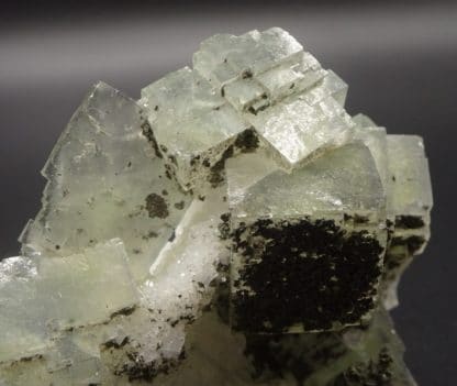 Fluorite verte, pyrite et quartz, filon blanc, Fontsante, Var.