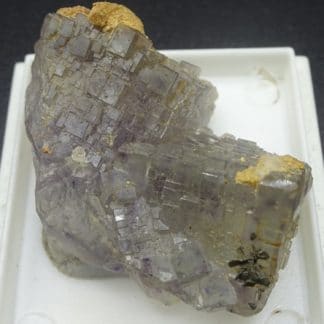 Fluorite à Fantômes et Calcite ferrifère, Fontsante, Var.