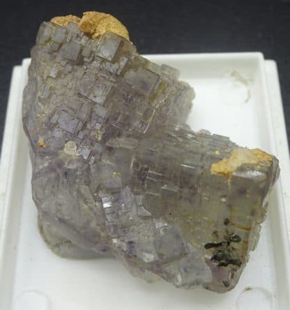 Fluorite à Fantômes et Calcite ferrifère, Fontsante, Var.